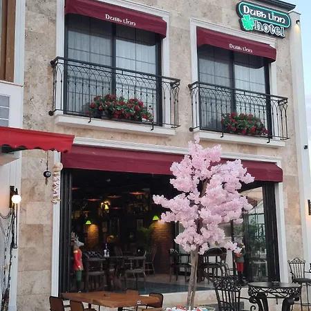 Delice Mavi * Ildiri