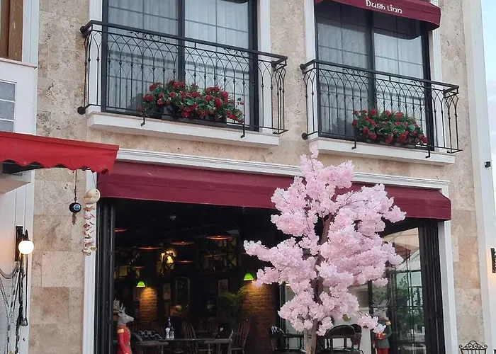 Delice Mavi * Ildır